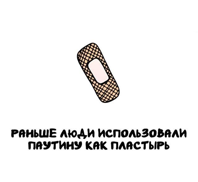 Интересные факты на все случаи жизни Интересные факты на все случаи жизни