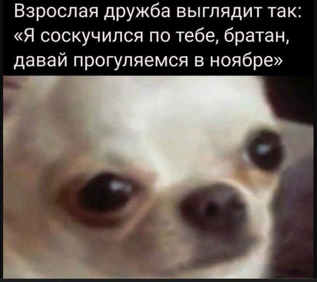 Смешные картинки - 06.05.2025 Смешные картинки - 06.05.2025