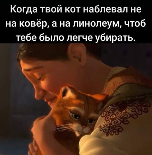 Смешные картинки - 06.05.2025 Смешные картинки - 06.05.2025