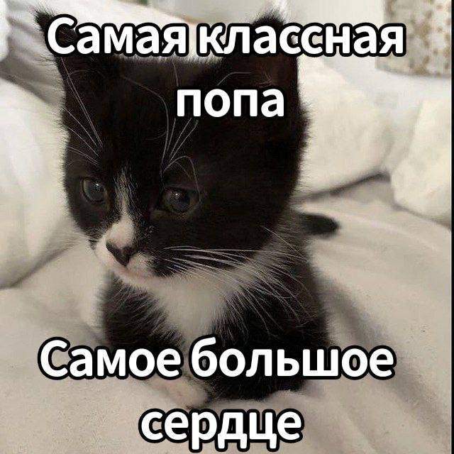 Смешные картинки - 06.05.2025 Смешные картинки - 06.05.2025