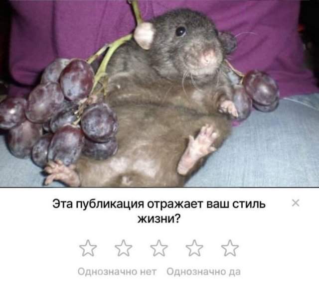 Смешные картинки - 06.05.2025 Смешные картинки - 06.05.2025