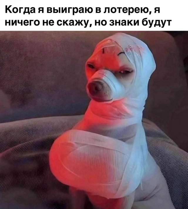 Лучшие шутки и мемы из Сети - 06.05.2025 Лучшие шутки и мемы из Сети - 06.05.2025