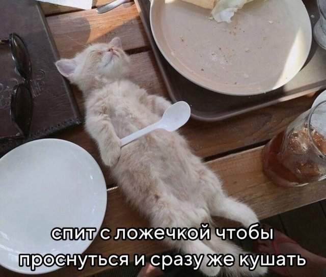 Лучшие шутки и мемы из Сети - 06.05.2025 Лучшие шутки и мемы из Сети - 06.05.2025