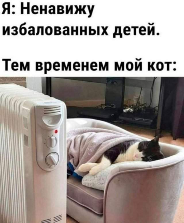 Лучшие шутки и мемы из Сети - 06.05.2025 Лучшие шутки и мемы из Сети - 06.05.2025