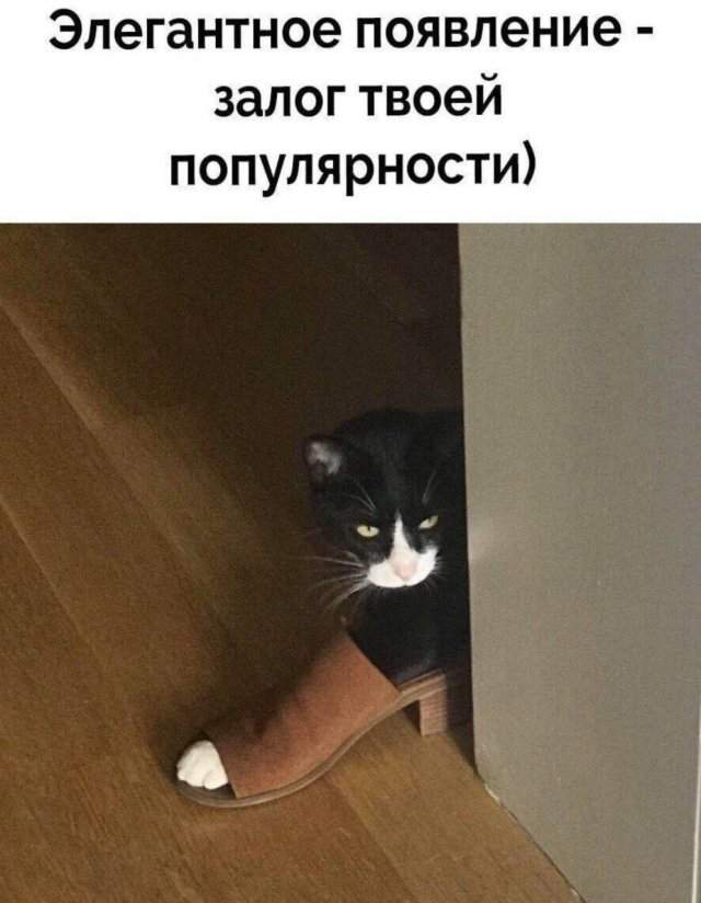 Смешные мемы - 07.05.2025