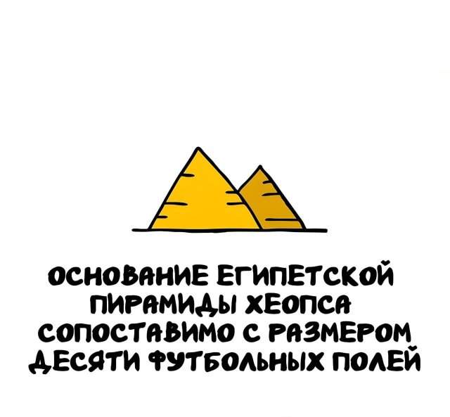 Интересные факты на все случаи жизни Интересные факты на все случаи жизни