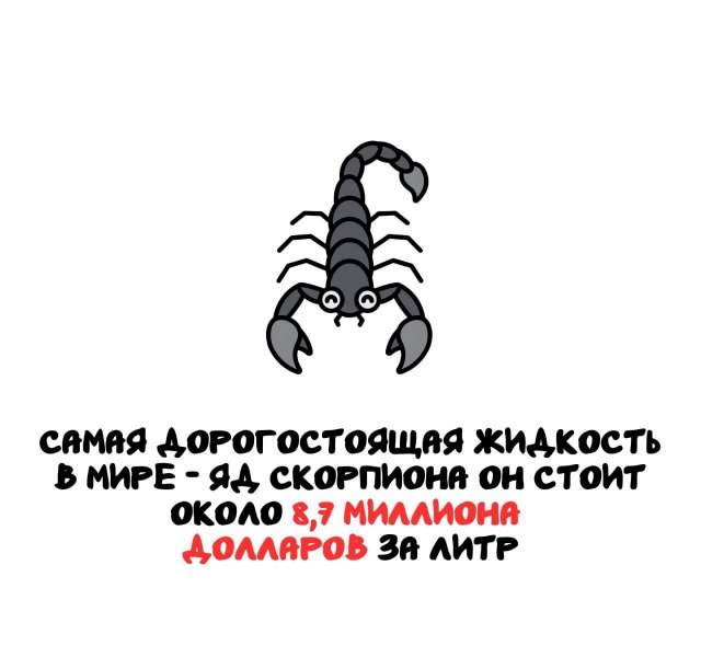 Интересные факты на все случаи жизни Интересные факты на все случаи жизни