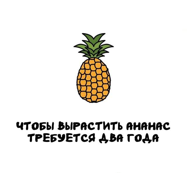 Интересные факты на все случаи жизни Интересные факты на все случаи жизни