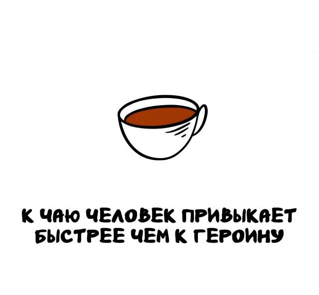 Интересные факты на все случаи жизни Интересные факты на все случаи жизни