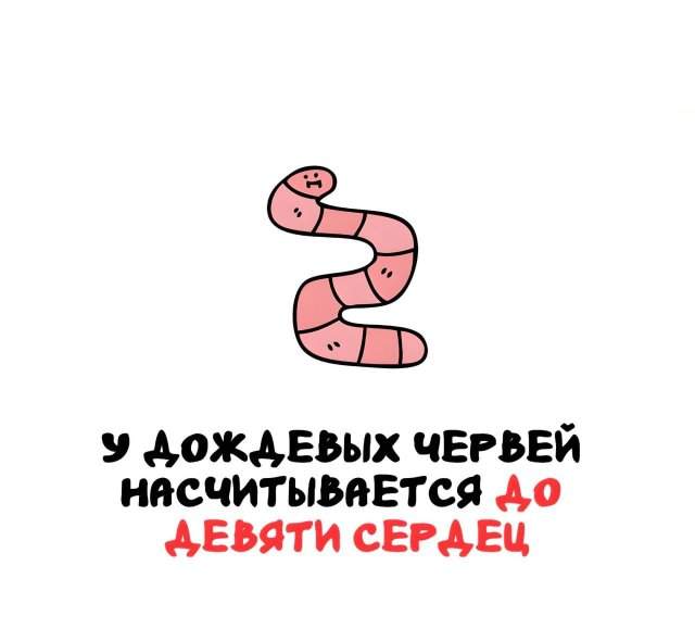 Интересные факты на все случаи жизни Интересные факты на все случаи жизни