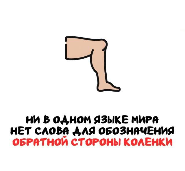 Интересные факты на все случаи жизни Интересные факты на все случаи жизни
