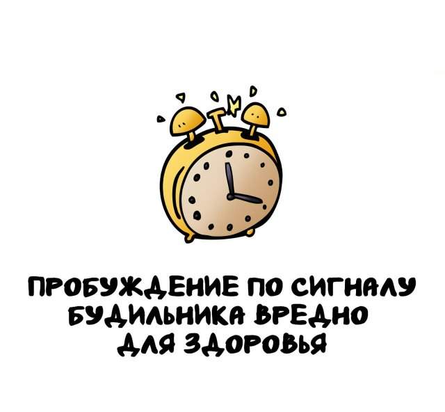 Интересные факты на все случаи жизни Интересные факты на все случаи жизни