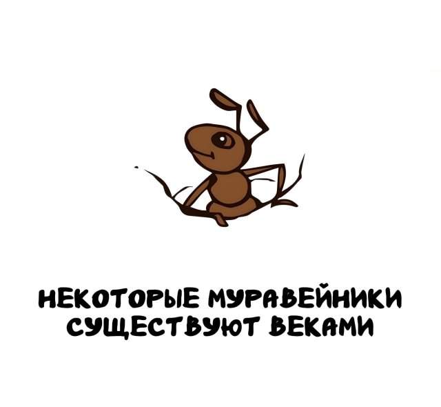 Интересные факты на все случаи жизни Интересные факты на все случаи жизни
