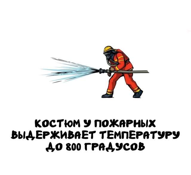 Интересные факты на все случаи жизни Интересные факты на все случаи жизни