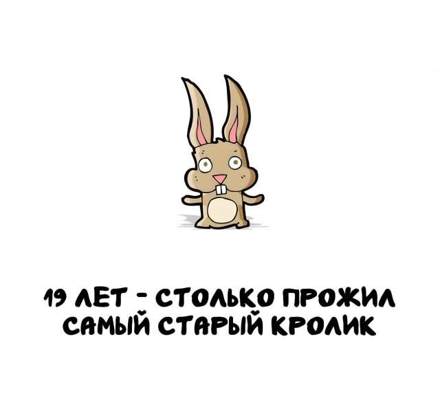 Интересные факты на все случаи жизни Интересные факты на все случаи жизни