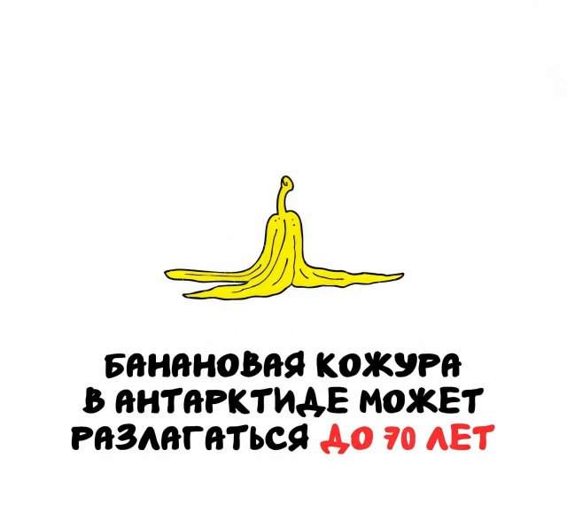 Интересные факты на все случаи жизни Интересные факты на все случаи жизни
