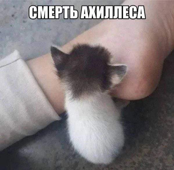 Смешные картинки - 08.05.2025 Смешные картинки - 08.05.2025