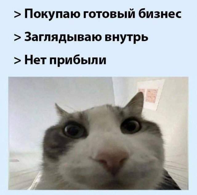 Смешные картинки - 08.05.2025 Смешные картинки - 08.05.2025