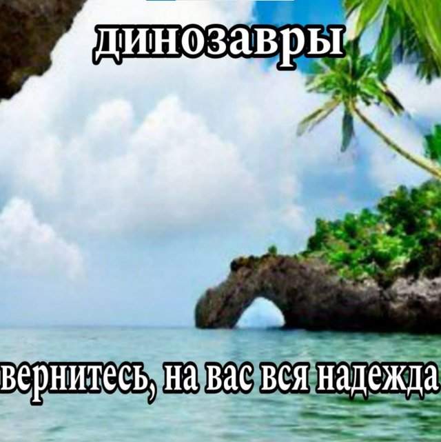 Смешные картинки - 08.05.2025 Смешные картинки - 08.05.2025