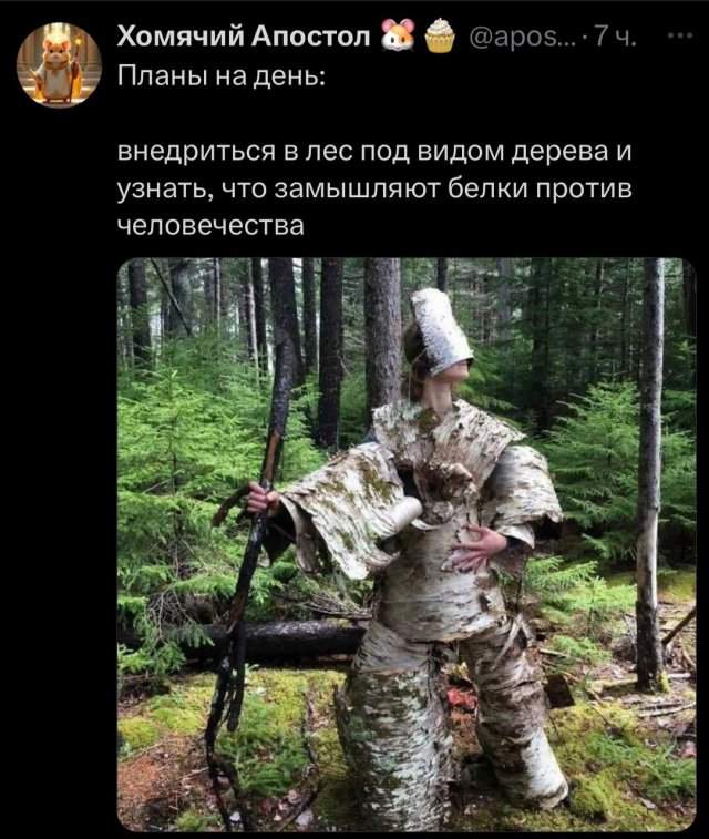 Смешные картинки - 08.05.2025 Смешные картинки - 08.05.2025