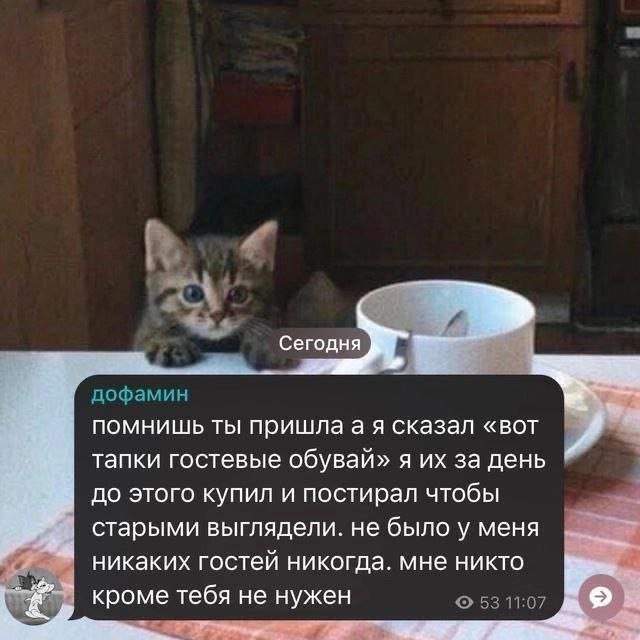 Смешные картинки - 08.05.2025 Смешные картинки - 08.05.2025