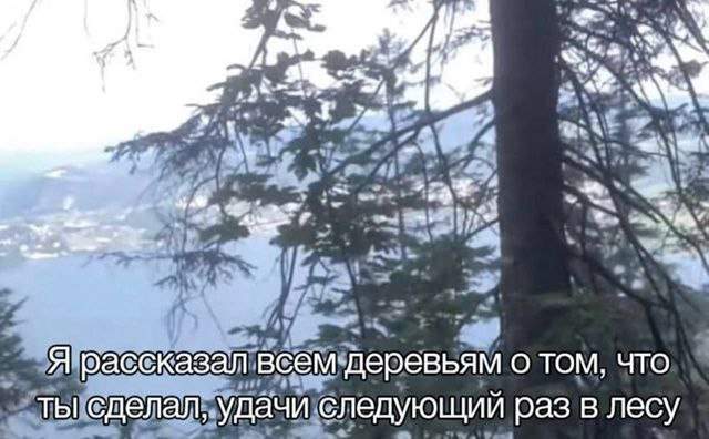 Смешные картинки - 08.05.2025 Смешные картинки - 08.05.2025