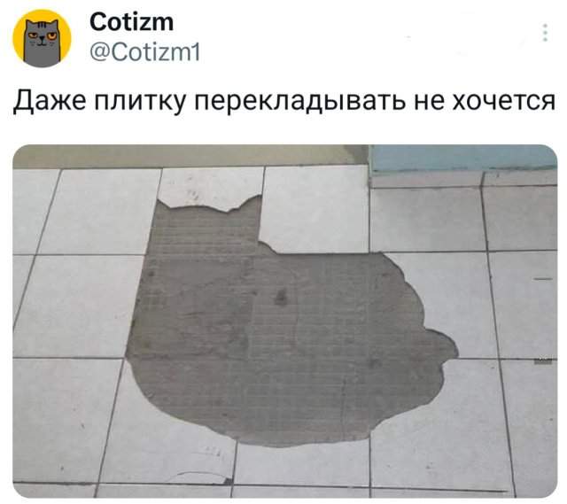 Подборка забавных твитов обо всем