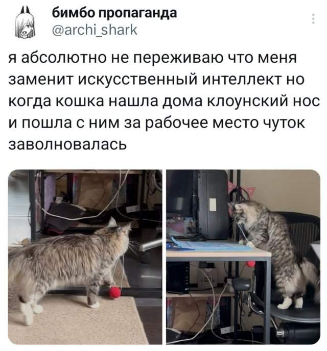 Подборка забавных твитов обо всем Подборка забавных твитов обо всем