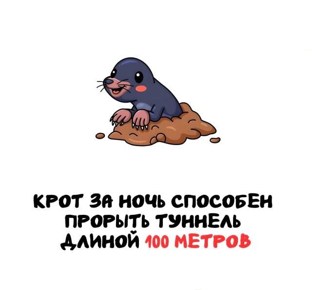 Интересные факты на все случаи жизни Интересные факты на все случаи жизни