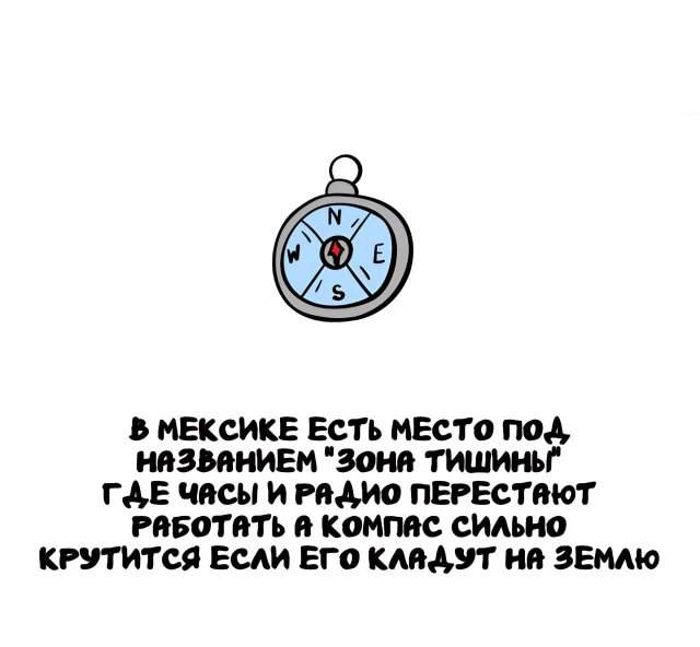 Интересные факты на все случаи жизни Интересные факты на все случаи жизни