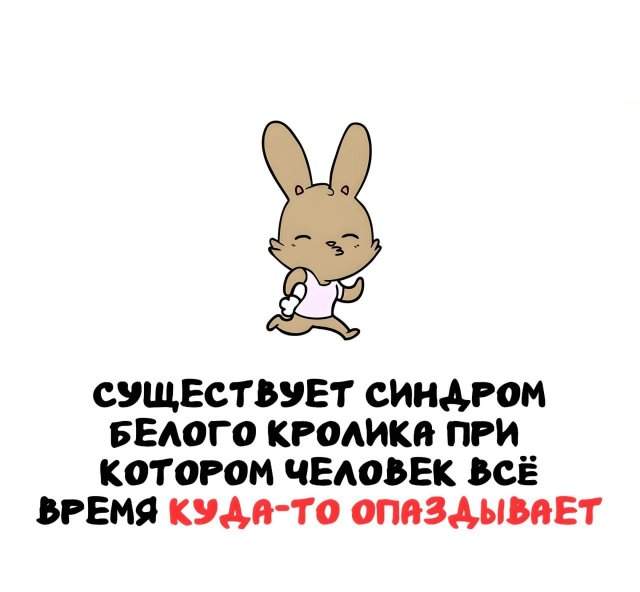 Интересные факты на все случаи жизни Интересные факты на все случаи жизни