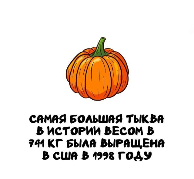 Интересные факты на все случаи жизни Интересные факты на все случаи жизни
