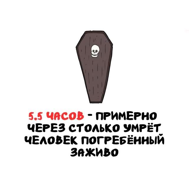 Интересные факты на все случаи жизни Интересные факты на все случаи жизни