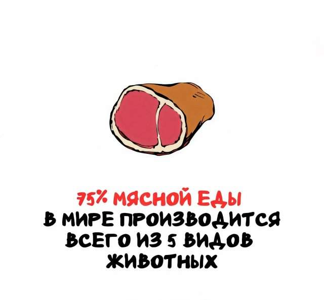 Интересные факты на все случаи жизни Интересные факты на все случаи жизни