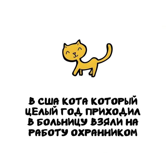 Интересные факты на все случаи жизни Интересные факты на все случаи жизни
