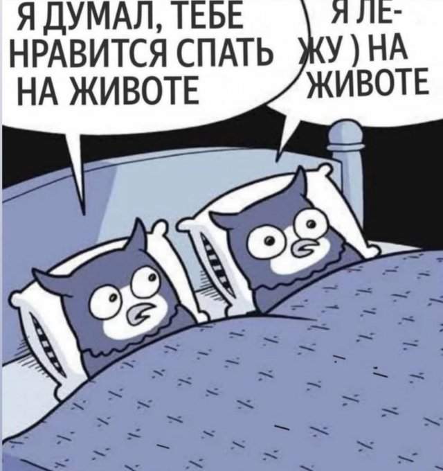 Смешные картинки - 09.05.2025 Смешные картинки - 09.05.2025