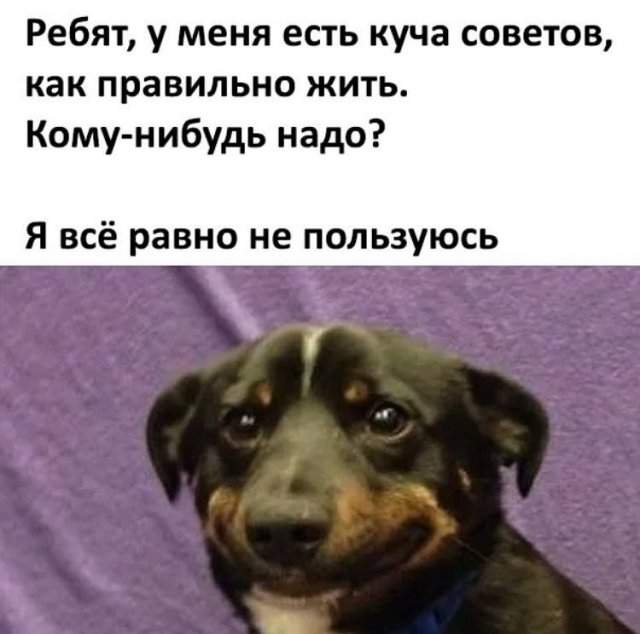 Смешные картинки - 09.05.2025 Смешные картинки - 09.05.2025
