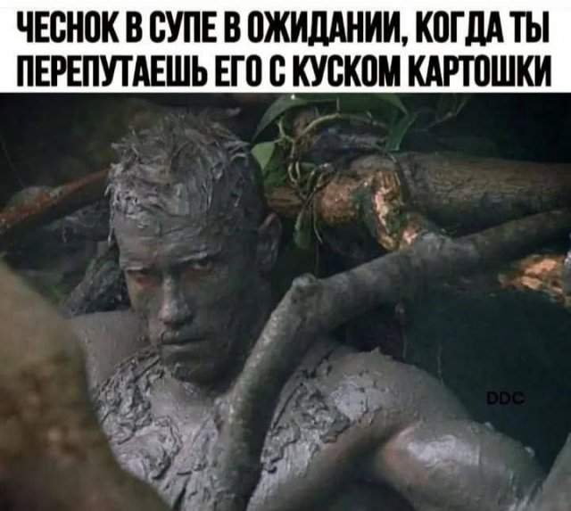 Смешные картинки - 09.05.2025 Смешные картинки - 09.05.2025
