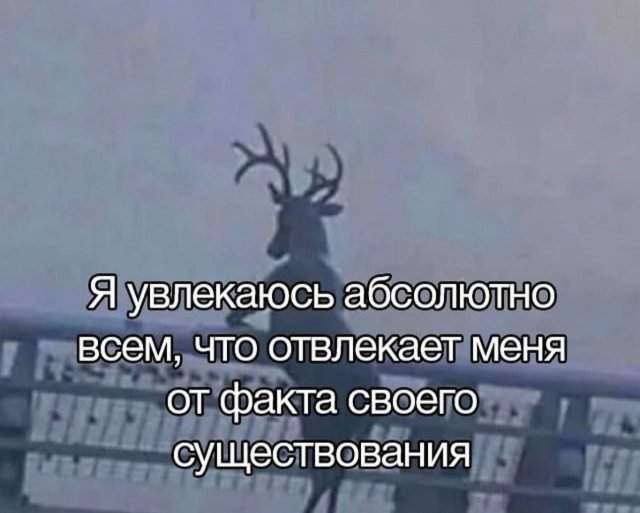 Смешные картинки - 09.05.2025 Смешные картинки - 09.05.2025