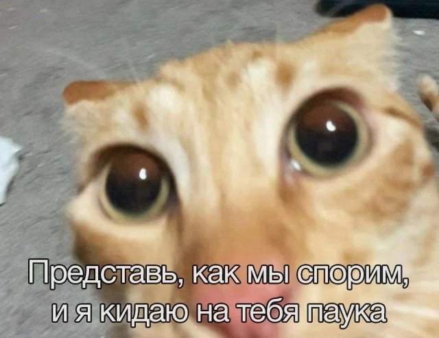 Смешные картинки - 09.05.2025 Смешные картинки - 09.05.2025