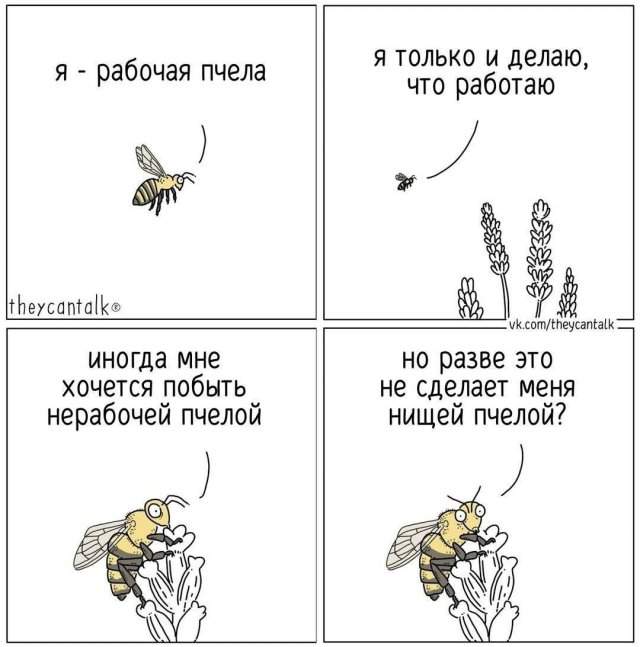 Смешные картинки - 09.05.2025 Смешные картинки - 09.05.2025