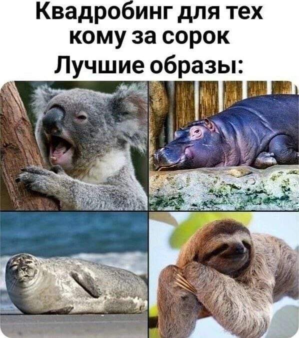Смешные мемы - 09.05.2025 Смешные мемы - 09.05.2025