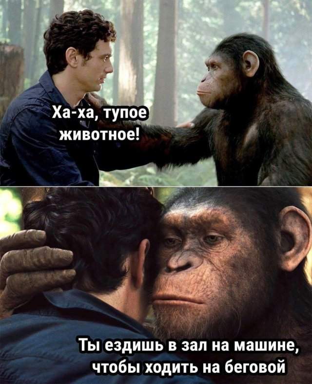 Смешные мемы - 09.05.2025 Смешные мемы - 09.05.2025