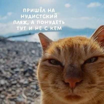 Смешные мемы - 09.05.2025 Смешные мемы - 09.05.2025