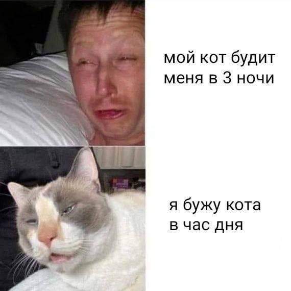 Смешные мемы - 12.05.2025 Смешные мемы - 12.05.2025