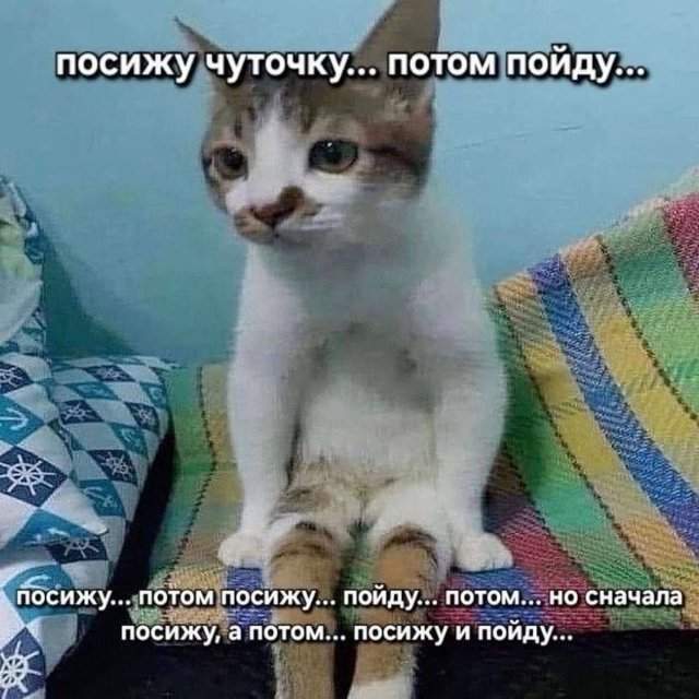 Смешные картинки - 12.05.2025 Смешные картинки - 12.05.2025