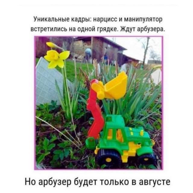 Смешные картинки - 12.05.2025 Смешные картинки - 12.05.2025