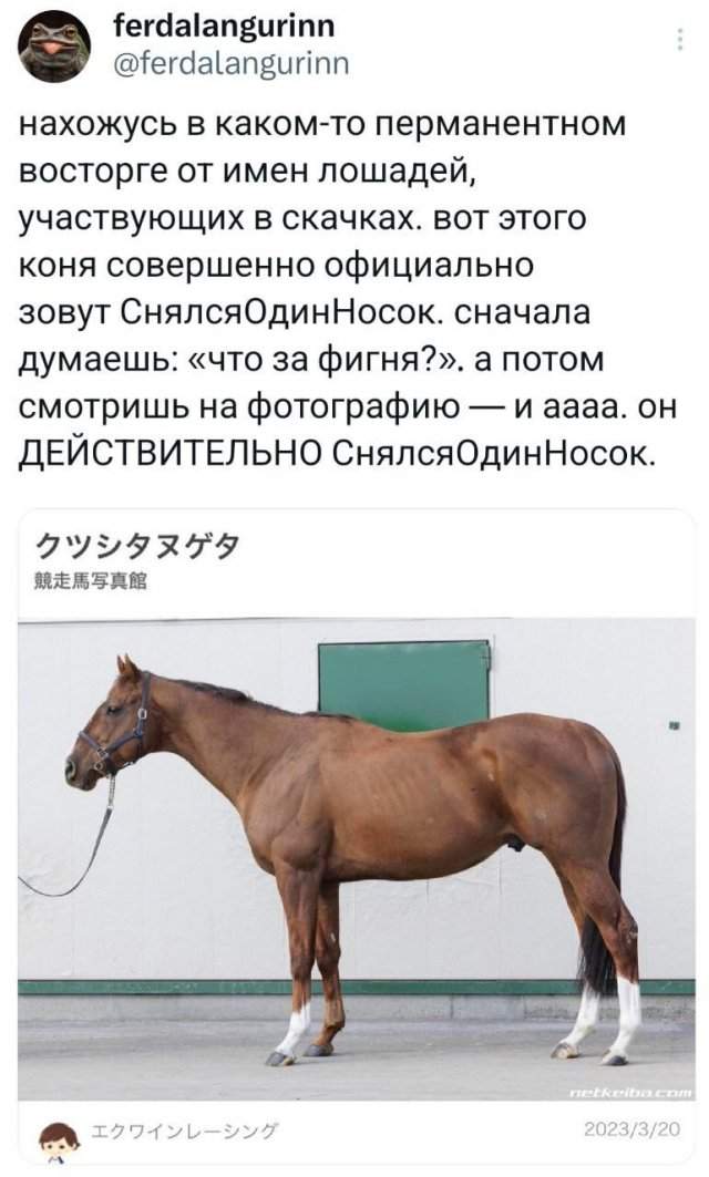 Подборка забавных твитов обо всем Подборка забавных твитов обо всем