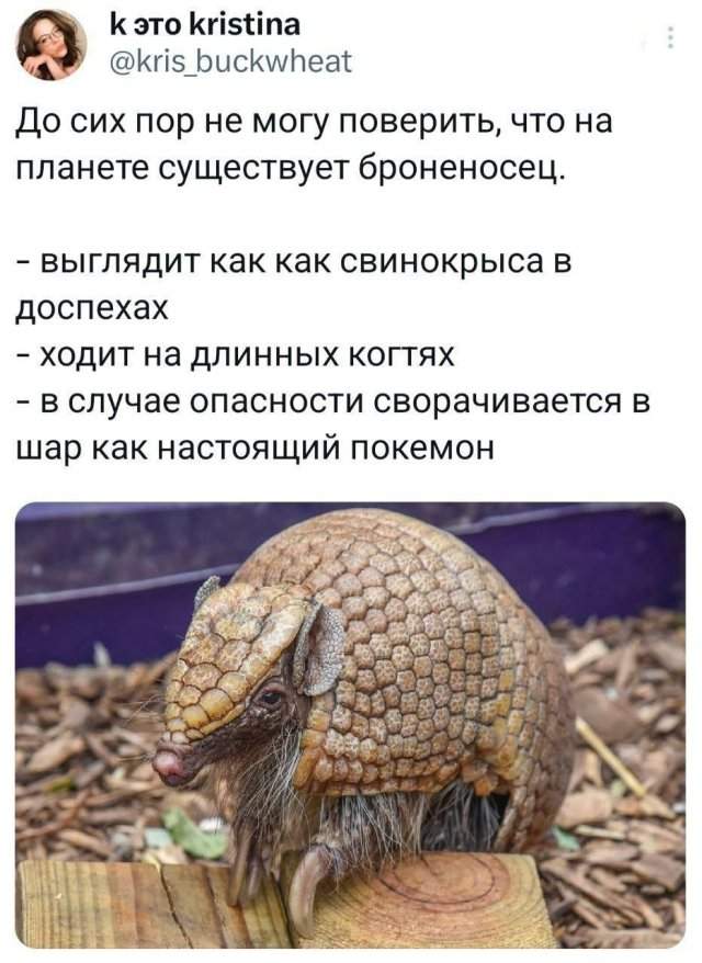 Подборка забавных твитов обо всем Подборка забавных твитов обо всем
