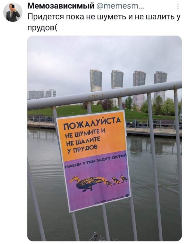 Подборка забавных твитов обо всем Подборка забавных твитов обо всем